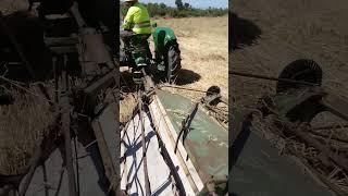 binding barley with a John Deere binder and Oliver tractor