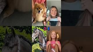‍️ Choose your best hairstyle #pomeranian #funnydogs #shorts #trending