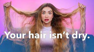 Your Hair Isn't Dry... The Biggest Hair Lie | Hair Science