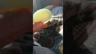 Palm stones as fidget toys