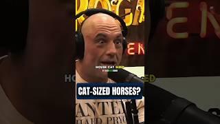 This Discovery Rewrites Horse History  #jre #joerogan #horse