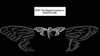 the biggest mystery in cyber security