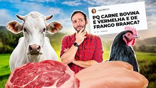 Por que VACA tem CARNE VERMELHA, mas PEIXE e FRANGO não? Iberê Responde