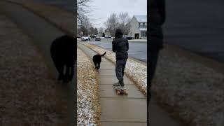 Asked my son to walk our dog | longboarding with dog