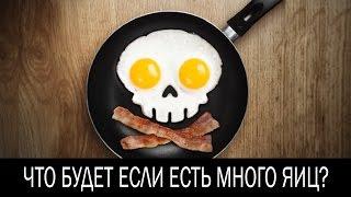 Что будет если есть много яиц