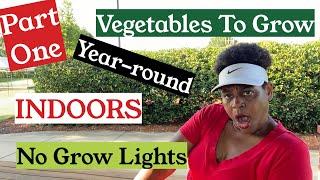 PART 1 | 10 Vegetables to GROW INDOORS YEAR ROUND | NO Grow Lights | Container Gardening