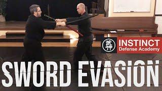 Sword Evasion using Bujinkan Happoh Sabaki Gata