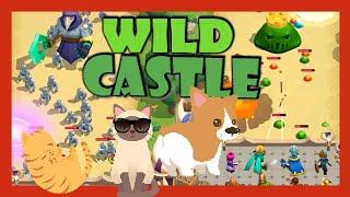 WILD CASTLE3D LEVELS 40 WALKTHOUGH GAMEPLAY