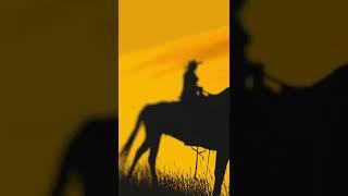 Cowgirl Silhouette Camera Settings - #shorts