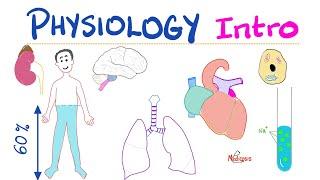 Physiology Introduction - What is Physiology? - A Complete Playlist - Doctors, Nurses, Undergrads