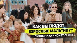 Встреча с выпускниками клуба мальтипу «Honey Club» на Aesthetic ONLY в Москве