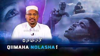 Wax Ka Ogow Qiimaha Nolasha Aduunka! Muxaadaro Qiimo badan | Sheekh Mustafe | @eegmada