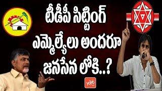 TDP Sitting MLAs will Joins Pawan Kalyan's Janasena Party | CPM Madhu | Chandrababu Naidu | YOYO TV