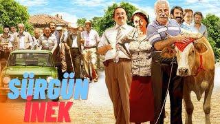 Sürgün İnek Türk Filmi | FULL HD | FIRAT TANIŞ