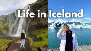 LIFE ICELAND: The Truth Behind It, Job interviews and Ikea trips