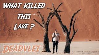 Exploring a 1,000-Year Old African Marsh - Deadvlei, Namibia 2019 | Exploring With Cody