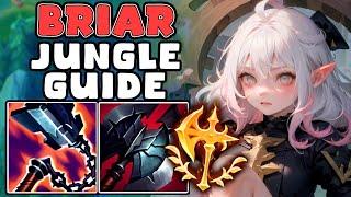 Briar Jungle Guide | Everything you need to know on Release | Build, Runes & Jungle Path LOL 13.18