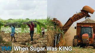 Jamaica's Sugar Industry Decline