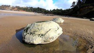 Concretions. Geological? Biological? Who is Who?