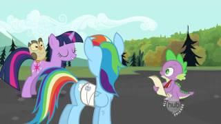 Rainbow Dash - Gesundheit 2