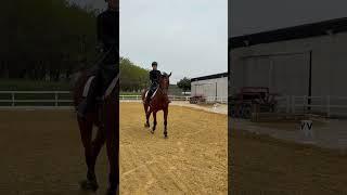 2025년 6월 19일#유니콘승마클럽 #horse #equestrian #dressage #승마 #마장마술 #horseriding