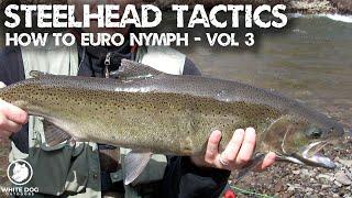 Steelhead Tactics - River Types & Seasonal Tactics - Euro Nymphing for Steelhead Vol 3