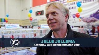 Jelle JELLEMA in Romania | porumbei360.ro | 25 ani U.C.P.R. Expo Targoviste 2019 | Beyers