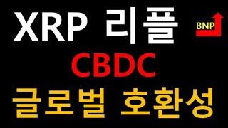 손정의 기운 담은 리플 XRP  제임스 왈리스 리플 CBDC, 글로벌 호환성이 핵심 영상에 담았습니다. 이더리움  RIPPLE 비트코인:리플이 시장을 지배 골드만삭스| SEC 합의