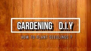 ATKC eWarehouse | Gardening DIY - How to Plant Seedlings?