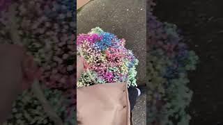 Интернет магазин цветов Купить цветы Днепр Магазин цветов Магазин букетов Днепр Купить Wow.dp.uа