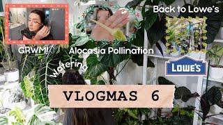 Vlogmas Day 6 |  Get Ready With Me, Back to Lowe's, Watering & Alocasia Pollination 