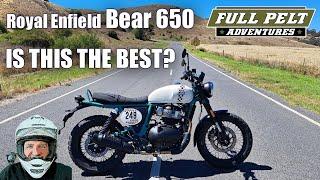 2024 Royal Enfield Bear 650 - It's the Best.