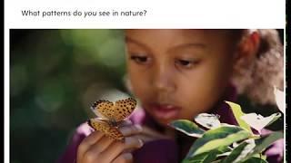 Patterns in nature by Jennifer Roy AR read aloud accelerated reader