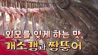 못생겼지만 맛과 영양이 둘째가라면 서럽다는 개소겡과 짱뚱어 입니다 #