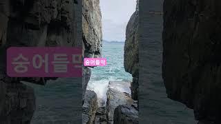 #숭어들막.숭어가 들어오는지 기다렸다가 일제히 그물을 올리는 숭어들막 구경갔다가 바위를 기어오르며 절벽사이 바다 잠시 찍어봄.