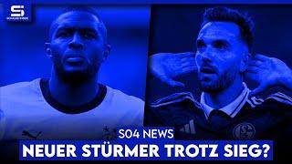 Modeste sagt Schalke ab! Neuer Stürmer soll kommen! Sonderlob für Seguin! Pflichtsieg? | S04 NEWS