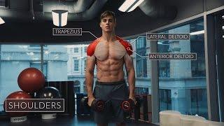 Exercise Anatomy: Shoulders Workout | Pietro Boselli