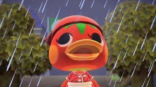 It's rainning !