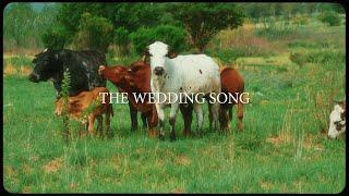 Majorsteez & Clxrity - The Wedding Song (Official Visualiser)