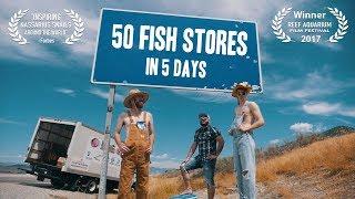 50 Fish Stores in 5 Days - (The Aquarium Hobby) | Short Film