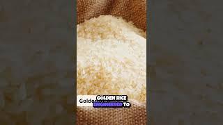  Revolutionizing Agriculture  The Power of GMOs and Biotechnology!