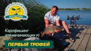 Карпфишинг для начинающих #1. Первый трофей.