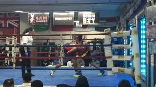 Elvis gonzalez boxing