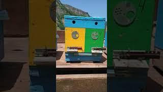 Горная пасека 07