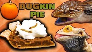 We Made our Reptiles Pumpkin Pie for Thanksgiving!!