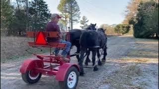 DRAFT HORSES // Pioneer Forecart modification and then taking the Percherons out for a drive