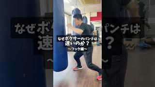 なぜボクサーのパンチは速いのか？2種類のパンチを解説【フック編】 #ボクシング #左フック #右フック
