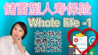 【保险】储蓄型人寿保险whole life -1 六大特点，缴费方式，分红方式