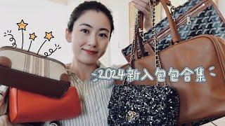 新入包包合集2024 | Miumiu, Chanel, Goyard, The Row, Loro Piana