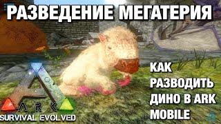 РАЗВЕДЕНИЕ МЕГАТЕРИЯ В ARK SURVIVAL EVOLVED MOBILE 2.0!! КАК РАЗВОДИТЬ ЖИВОТНЫХ В ARK